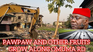 UNTOLD STORIES OF OMUMA RD AND WHY IT WAS ABANDONED SINCE 1993 TILL DATE