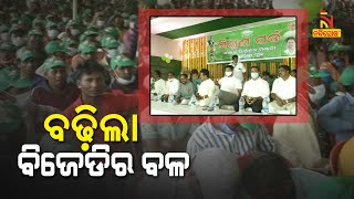 Koida Block Chairman Rinarani Kumudial Along With Her Aides Join BJD | NandighoshaTV