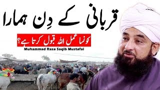 Qurbani K Din Ka Amal By Raza Saqib Mustafai 2018