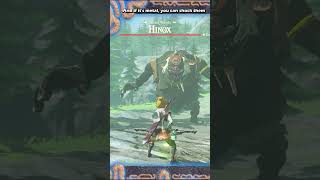 Mini Boss Tricks in Zelda Breath of The Wild | BotW Lynel, Hinox, Stalnox, Moldu