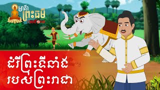 Metfone - មាគ៌ាព្រះធម៌ | Path of Dharma - ដំរីព្រះទីនាំងរបស់ព្រះរាជា | Elephant, the royal carriage