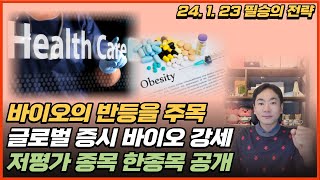 바이오의 반등을 주목 / 글로벌 증시 바이오 강세 / 저평가 종목 한종목 공개