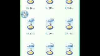 第14集  成功孵出9颗10公里的蛋(Hatched 9 10km eggs finally)