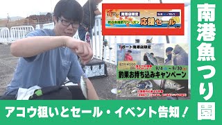 南港魚つり園　アコウ狙いとセール＆イベント告知！　コロ釣　大阪