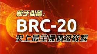 Ordi突破25美金！它为什么这么猛？BRC-20的财富龙卷风已经启航，再不上车就晚了？史上最全BRC-20保姆级教程来了，从概念科普到如何进场，看这个视频就够了！