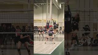 KW Predators with the dives | OVA Shorts #ova #volleyball