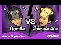 Gorilla vs. Chimpanzee | Animal Superstars | Animal Dance Song | Nursery Rhymes & Kids Songs