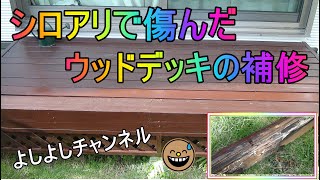 シロアリで傷んだウッドデッキの補修　　　　Repairing wood decks damaged by termites