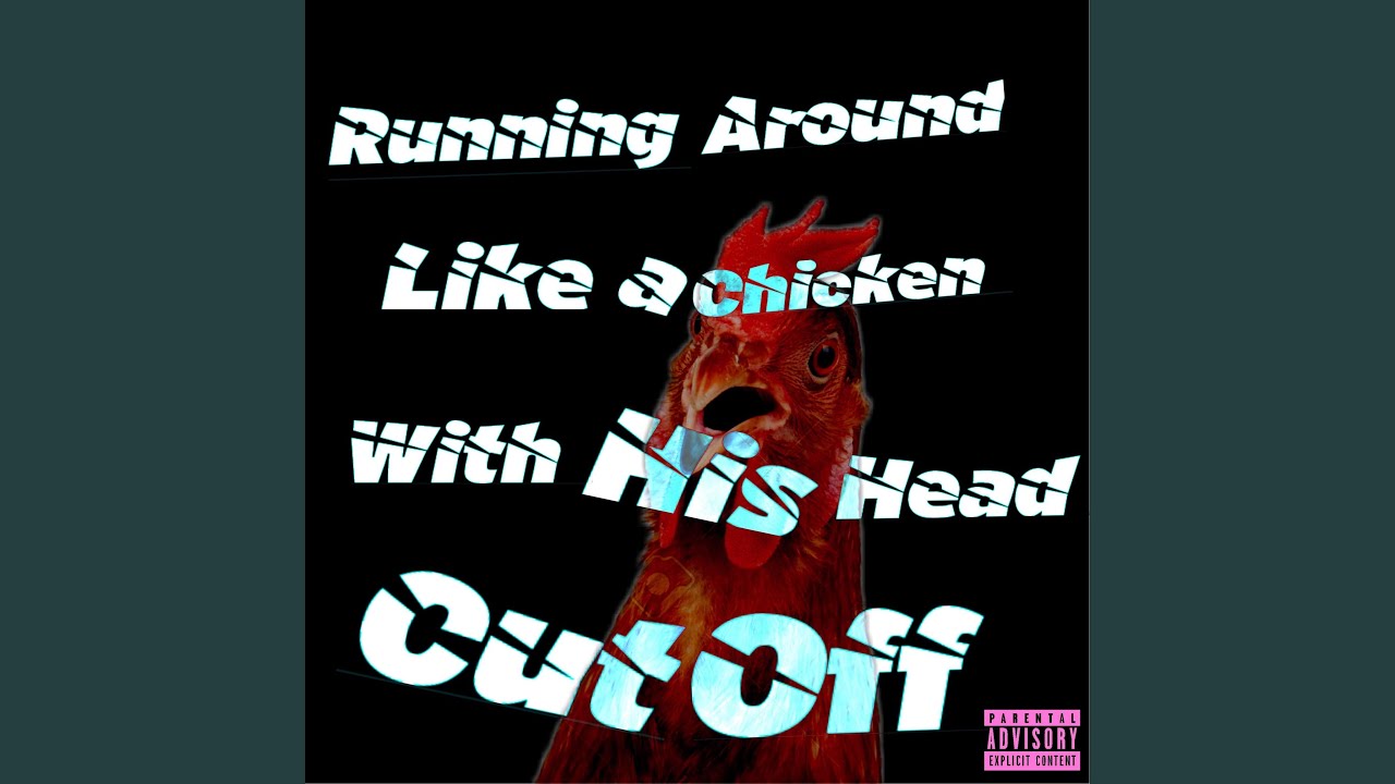 Running Around Like A Chicken With His Head Cut Off - YouTube