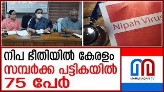 നിപ സംശയം: പ്രഥമിക സമ്പര്‍ക്കപ്പട്ടികയില്‍ ഉള്ളത് 75 പേര്‍ I Nipah virus alert