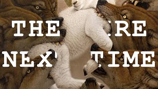 Please Watch I Cant Do Titles Its Important