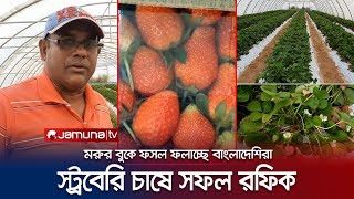 কুয়েতে স্ট্রবেরি চাষে সফল প্রবাসী রফিক; আগ্রহী হচ্ছেন অন্যরাও | Kuwait | Farming | Strawberry