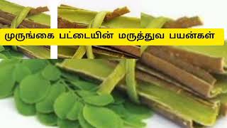 #முருங்கை பட்டையின் மருத்துவ பயன்கள்