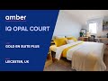 Room Type Gold En Suite Plus | iQ Opal Court | Student Accommodation in  Leicester | UK | amber