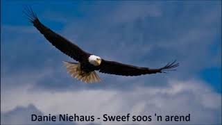 Danie Niehaus - Sweef soos 'n arend