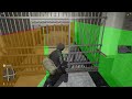 Electus Heists | Walkthrough Tutorial | FiveM Script