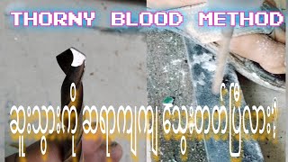 လူမပင်ပန်းအောင် ဆူးသွားသွေးနည်းThorny blood method