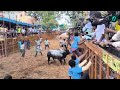 avaniyapuram jallikattu ல் மாடுபிடி வீரர் உயிரிழந்த சோகம் jallikattu 2025 oneindia tamil