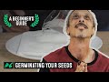 How to Germinate Cannabis Seeds - A Beginner's Guide with Kyle Kushman #6