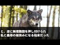 【スカッとする話】正月、親戚の前で私を貶す義母「料理下手な嫁でおせちも作れない」私「30分で作れます」→本当にやってみせた結果w【修羅場】