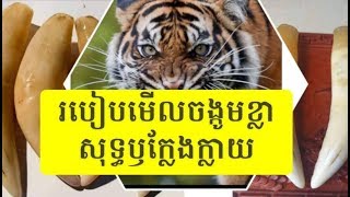 របៀបមេីលចង្កូមខ្លាសុទ្ធឫក្លែងក្លាយនឹងចង្កូមខ្លាជ័រសេរាមិចនឹងចង្កូមខ្លាឆ្អឹងគោ Real and fake things