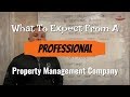 What to Expect From A Professional Property Management Company