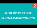 Selenium Python Select All Text on Page