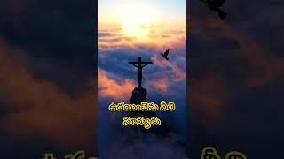 నీతి సూర్యుడు #love #bible #telugu #god #ytshorts