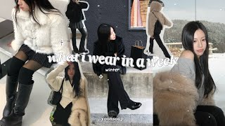 [SUB] 𝒐𝒐𝒕𝒅 𝒗𝒍𝒐𝒈 Cozy Winter Outfits with a Furry Jacket.ᐟ₊ . ݁˖  Brandy Melville Haul