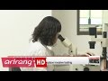 Korean researchers develop a method of detecting cancer through blood test