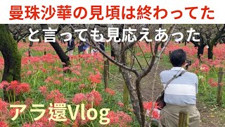 府中郷土の森「曼珠沙華まつり」へ