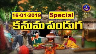 కనుమ పండుగ | Kanuma Panduga | 16-01-19 | SVBC TTD