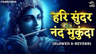 Hari Sundar Nand Mukund - Krishna Bhajan Lofi | हरि सुंदर नंद मुकुंदा | Bhakti Song | Bhajan Songs