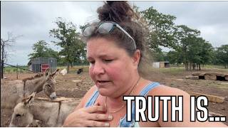 We Disappeared From YouTube… Here’s What We’ve Been Busy Doing at the Ranch | Paragon Ridge Ranch