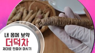 명약 더덕의 효능/더덕차만들기/더덕차우리기