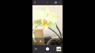 VSCO Tutorial: Advanced Camera Features