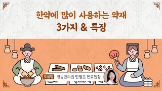 [힐팁TV] 한약에 많이 사용하는 약재 3가지 \u0026 특징