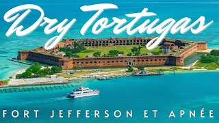 On visite le Dry Tortugas National Park à Key West et on fait de la plongée en apnée Yankee Freedom!