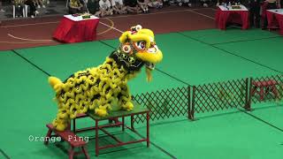 新加坡弘徳龙狮体育会 A队 HongDe Dragon \u0026 Lion Dance Association