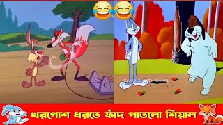 খরগোশ ধরতে ফাঁদ পাতলো শিয়াল😂😂