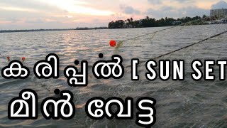 FISHING KERALA |ഉടക്ക് വല നീട്ടി മീൻ പിടിക്കാം | evening net fishing | #Thonikkaran | #crabs |