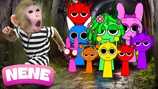 Monkey NeNe Catch The Thief And Escapes Incredibox Sprunki Prison With Duckling | NENE ANIMAL MONKEY