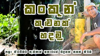 palaa sitaviimata kulunak  පලා හිටවීමට කුළුණක් අකාරයේ බදුනක් සකස් කිරීම