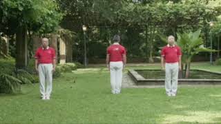 Qigong 十段锦