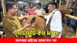 মোটামুটি কম দামেই হয়ে গেল আজকে আকরাম ভাইয়ের গরু! গাবতলী গরুর হাট ২০২৫