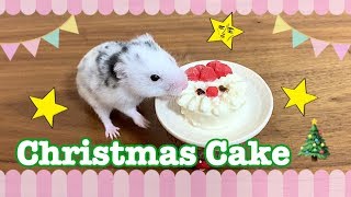 ハムスターにクリスマスケーキ作ってみた☆Tiny Christmas Cake For Hamster!!