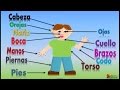 Las Partes Del Cuerpo Para Niños, Our Body Parts In Spanish For Children (Video Infantil)