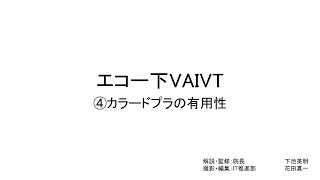 エコー下VAIVT（カラードプラの有用性）