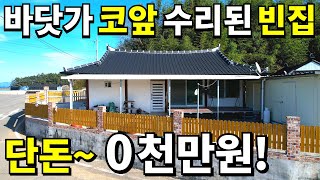 코앞이 바다! 수리된 시골 빈집~ 헐값에 쏟아진다! 이 집~ 땅 1300만원! 주택은 안 팔려서 다 던집니다