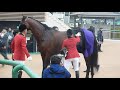 ブラストワンピース号快挙【2018年平成最後の有馬記念（ＧⅠ）】